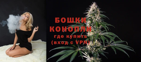 крисы Богданович