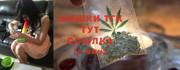 гидра Богородск