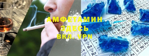 гидра Богородск