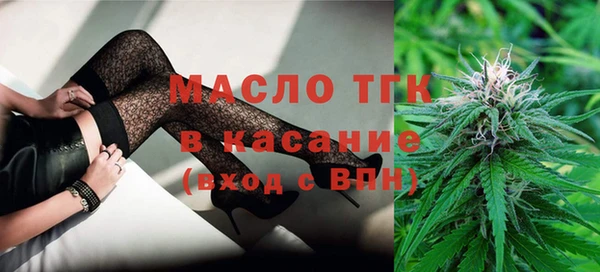 гидра Богородск