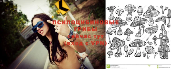крисы Богданович
