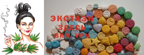 гидра Богородск