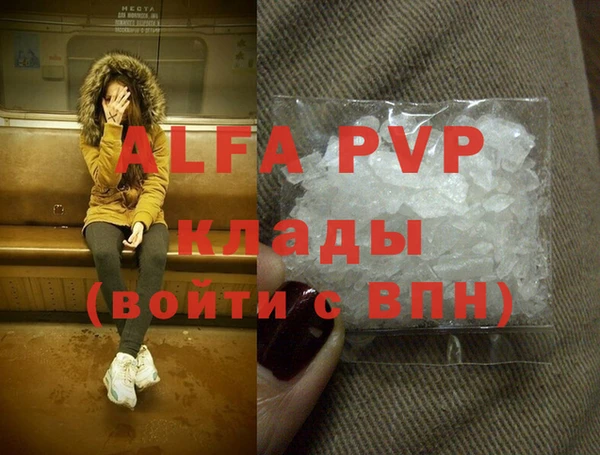 гидра Богородск